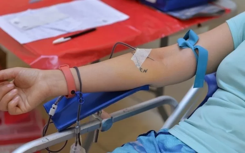 Colecta de sangre en Punta Lara