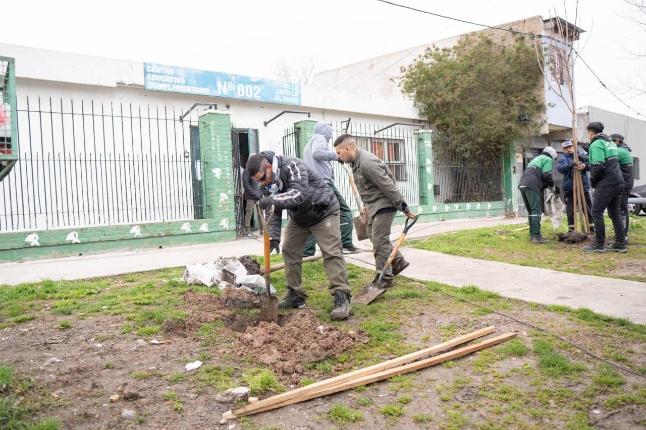 Ensenada le responde a los ambientalistas: forestación en los barrios