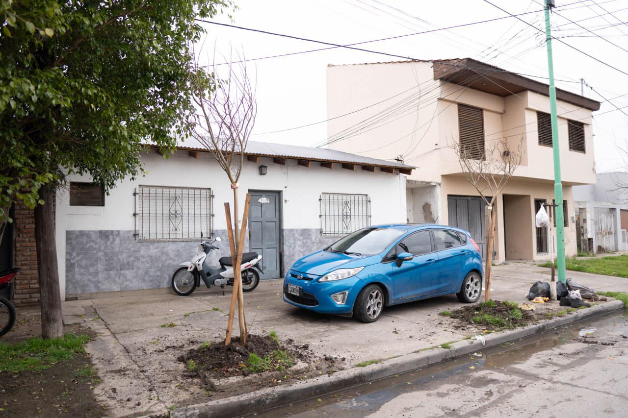 Ensenada le responde a los ambientalistas: forestación en los barrios